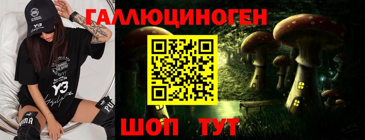 Галлюциногенные грибы Cubensis  Вход с VPN  Галлюциногенные грибы мицелий  Малгобек 